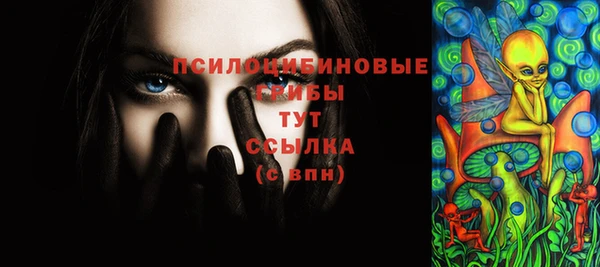 спиды Белокуриха