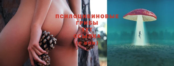спиды Белокуриха