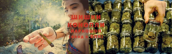 спиды Белокуриха